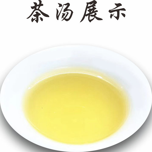 广东特产英德绿茶叶2026新茶高山云雾浓香耐泡炒青豆香型袋装500g - 图2