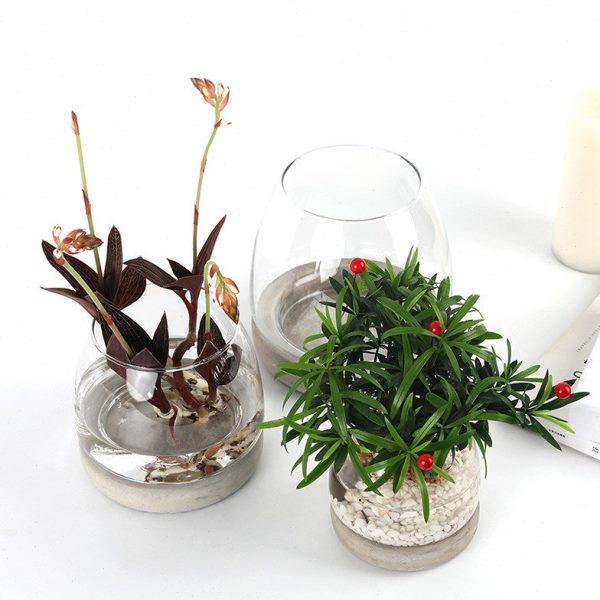 新款创意水培玻璃圆形花瓶水泥底混搭草菇型水培植物透明花器鱼缸,淘宝优惠券,粉丝福利购,淘宝优惠卷