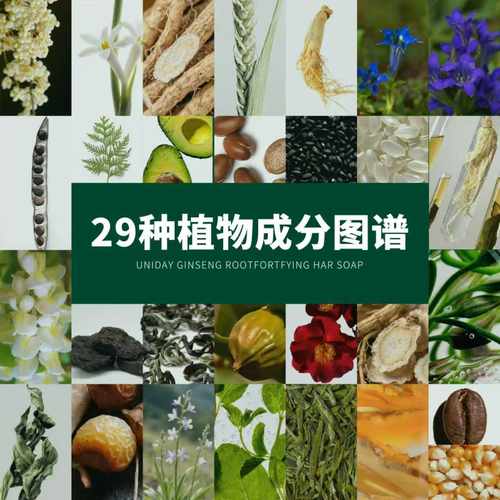 友理人参根养倍韧养发皂 草本手工洗头皂人参乌斯曼草何首乌植萃 - 图0