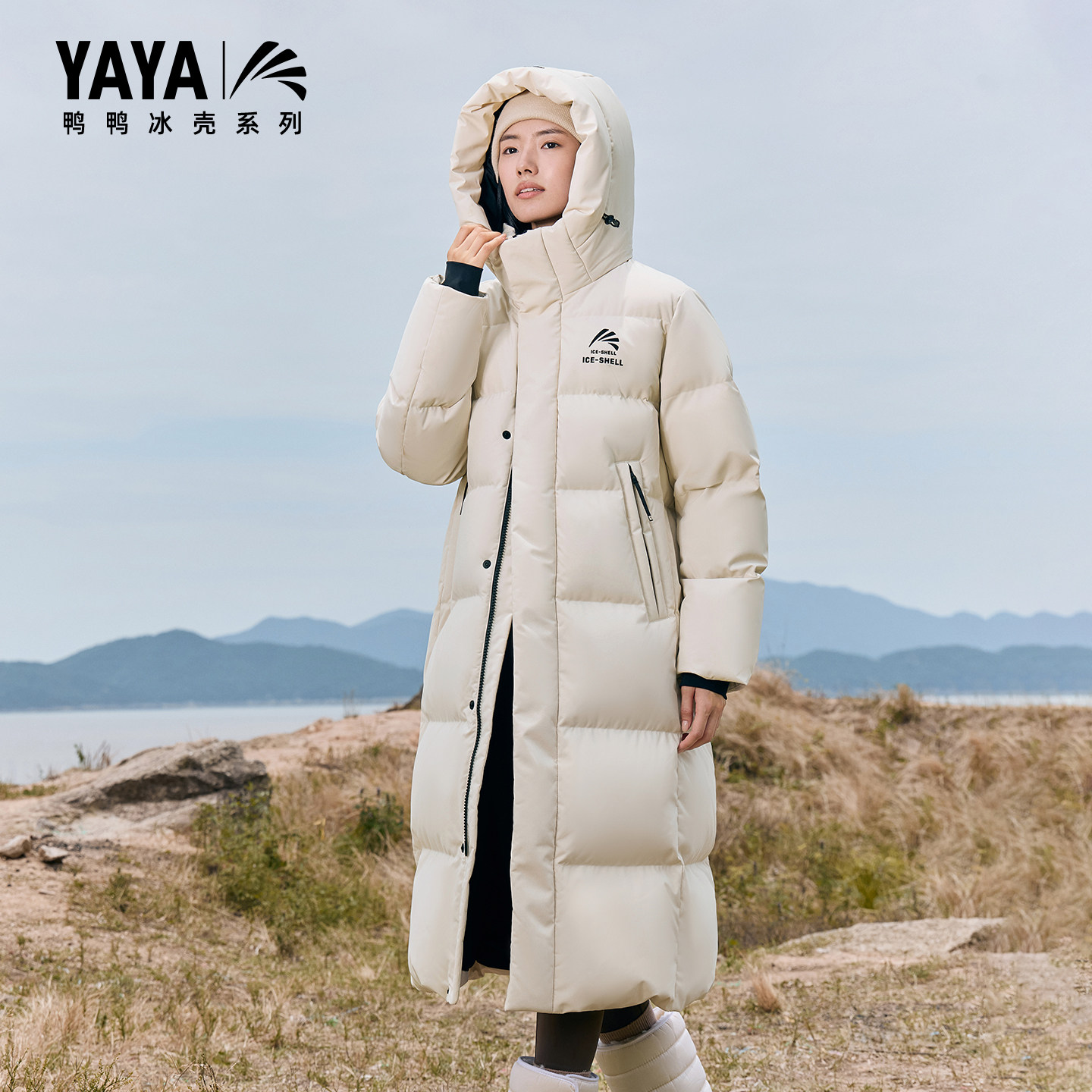 图 3