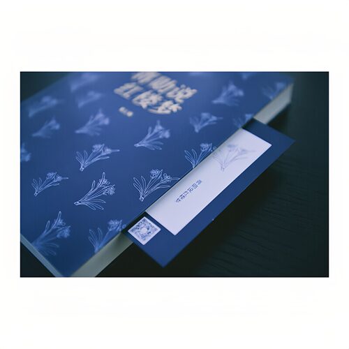 蒋勋说红楼梦（礼盒套装全8册）中国四大名著古典文化文学图书 随书附赠：精美书签+人物关系图+大观园位置图 - 图3