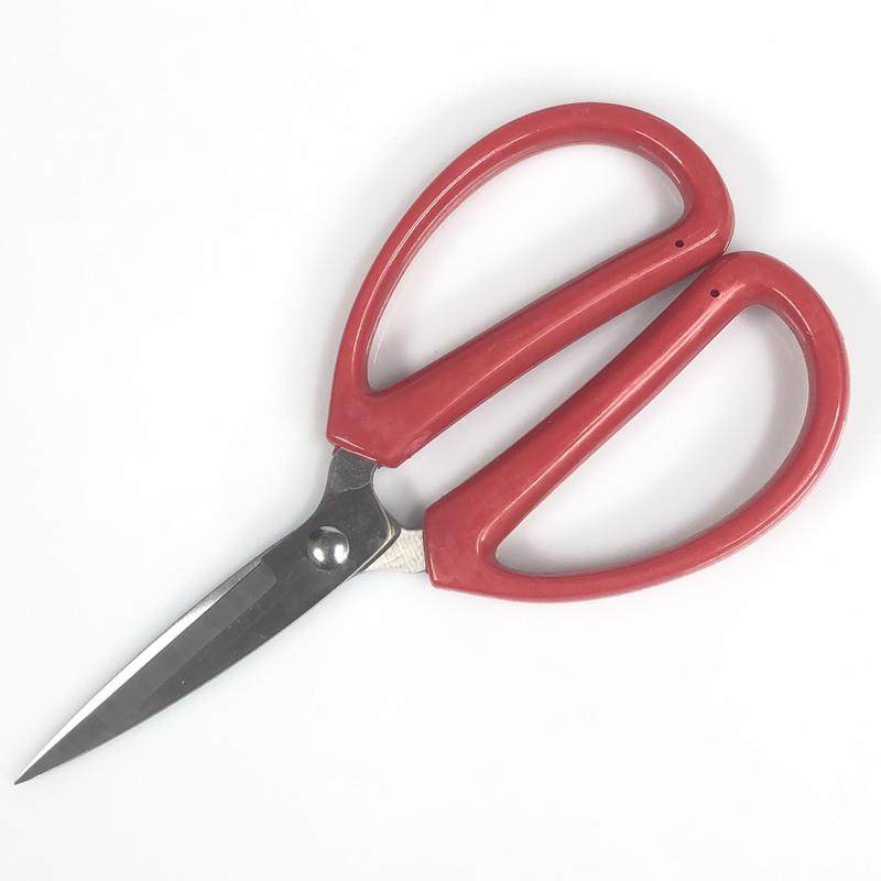 剪刀不锈钢家用剪子小剪刀手工剪纸剪线头厨房专用尖头剪红枣核桃,淘宝优惠券,粉丝福利购,淘宝优惠卷