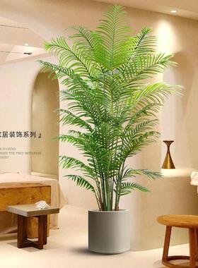 摆件家居饰品客厅高档轻奢直播间装饰彷真绿色植物散尾葵大型落地