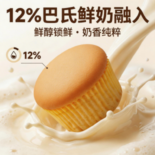 鲜奶风味蛋糕早餐代餐独立包装