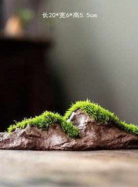 小鱼缸沉底摆件h苔藓盆景附石青苔摆件造景莫斯假山新款禅意水陆