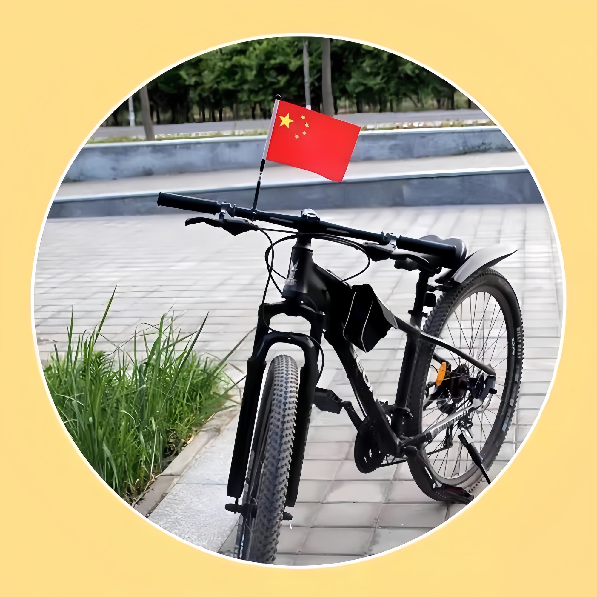 图2