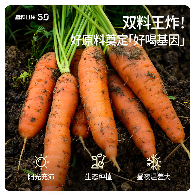 益生菌发酵胡萝卜汁 200ml*6 瓶 儿童六一健康果蔬汁含叶黄素 益生菌发酵胡萝卜汁 200ml*6 瓶 儿童六一健康果蔬汁含叶黄素
