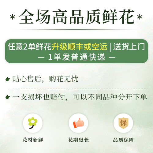 黄天霸香水百合花鲜花云南基地直发家用插花水养鲜切花2单发顺丰 - 图0