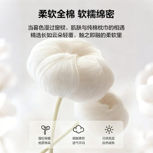 张御枕巾可固定纯棉100全棉一对高端官方正品成人a类绑带款防头油 - 图2