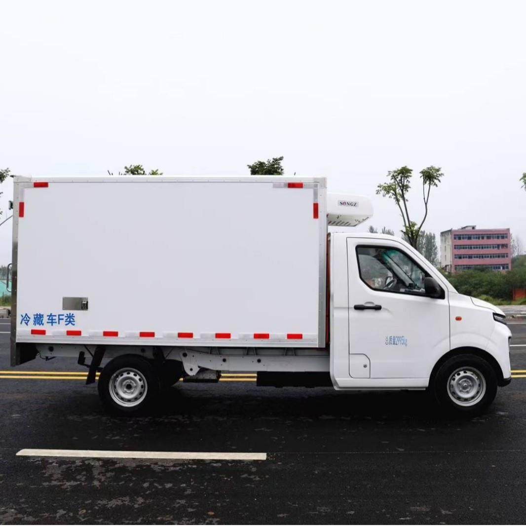 吉利小型纯电动冷藏车 绿牌新能源冷链车 水果保鲜车价格,淘宝优惠券,粉丝福利购,淘宝优惠卷