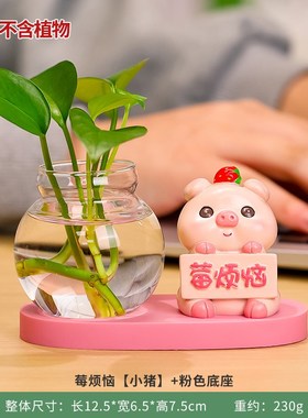 可爱小清新风迷j你玻璃小花瓶水培绿植装饰桌面透明插花器创意摆