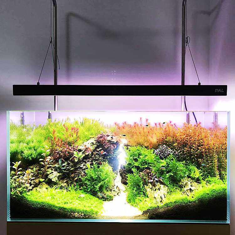 RGB水族灯珠led水族灯 鱼缸灯 5730rgb灯珠 水草灯珠 可以定颜色,淘宝优惠券,粉丝福利购,淘宝优惠卷