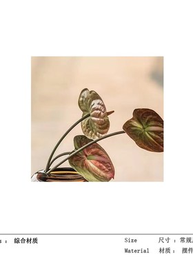 Boone软装 家居轻奢琥珀色玻璃花器样板房间客厅插X花瓶托盘摆件