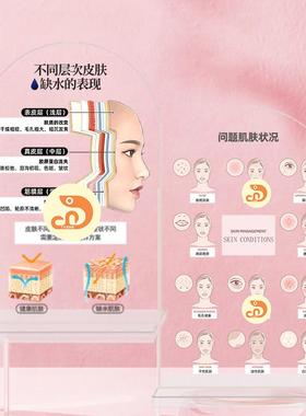 医美面部整形装饰品立牌每层肌肤吃什么亚克力美容院护肤品店摆件
