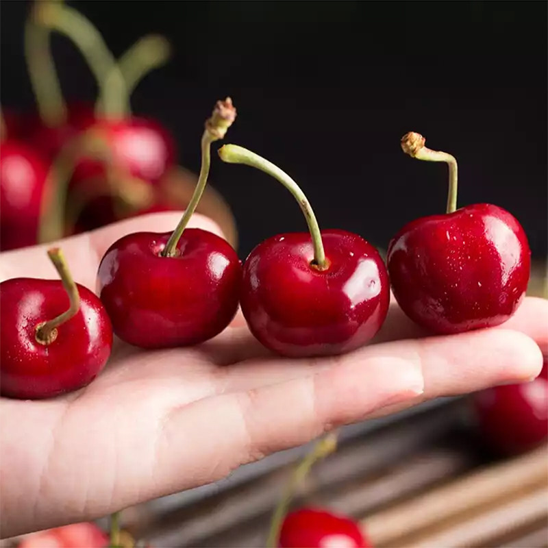【现货】智利车厘子进口大樱桃应当季孕妇新鲜水果包邮整箱,淘宝优惠券,粉丝福利购,淘宝优惠卷