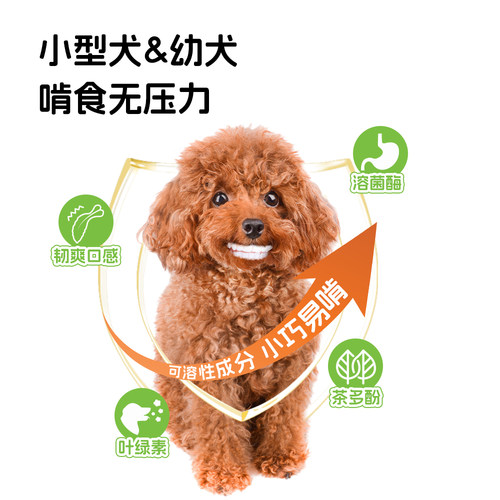 Dentalight树叶骨狗狗耐咬洁齿骨中小型犬磨牙棒刷牙零食 - 图3