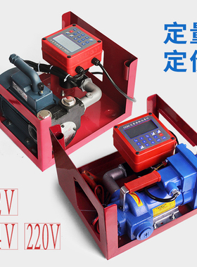汽油组合泵12V24V220V车载简易加油机防爆泵计量泵抽油泵甲醇油泵