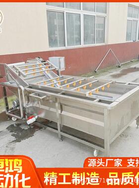 连续式果蔬气泡清洗机大型包装袋去油污清洗设备商用气泡洗菜机