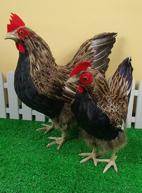 现代时尚摆件仿真鸡羽毛鸡软装饰品田园鸡大母鸡道具农场陈列展厅