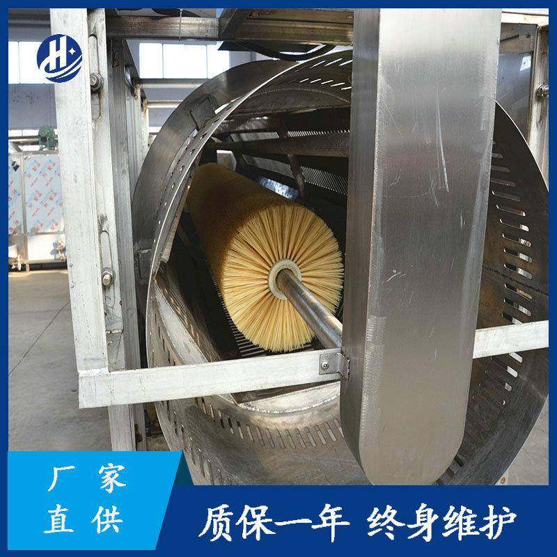 厂家供应海鲜清洗机全自动牡蛎清洗机不锈钢毛辊清洗机,淘宝优惠券,粉丝福利购,淘宝优惠卷