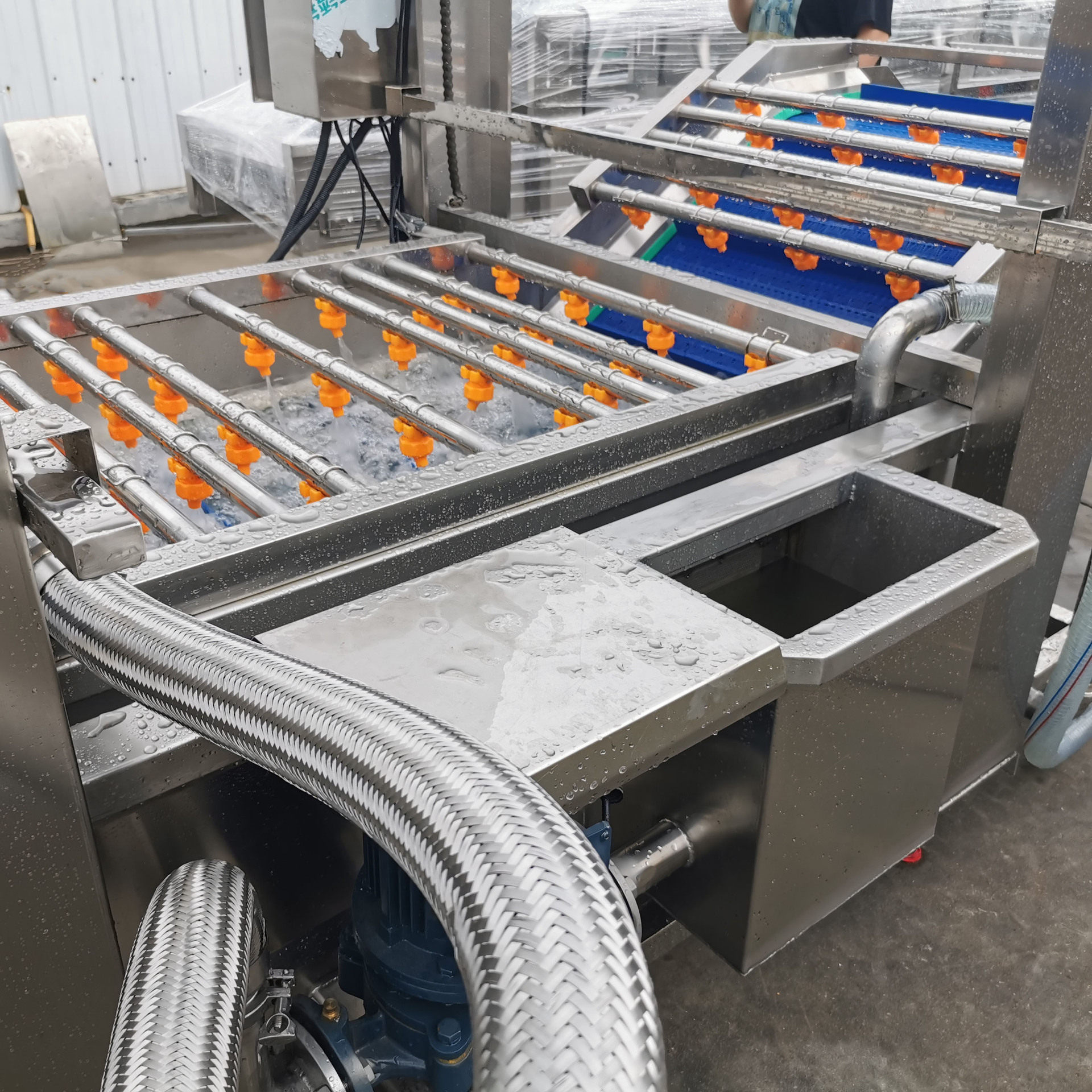 大型果蔬起泡清洗机大枣清洗设备海鲜清洗机,淘宝优惠券,粉丝福利购,淘宝优惠卷