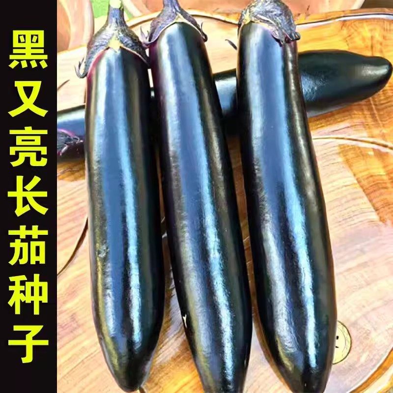 【今年新种】黑长茄种子特长茄子种籽四季蔬菜种子紫茄子种子菜种,淘宝优惠券,粉丝福利购,淘宝优惠卷