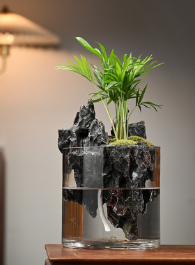 玄山桌面苔藓微景观造景植物生态瓶绿植盆栽玻璃室内盆景创意摆件