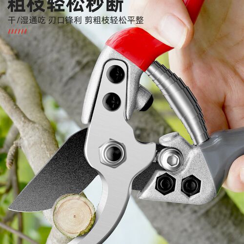 日本sk5花艺剪鲜花果剪树枝省力园林采摘水果专用园艺剪刀修枝剪 - 图0