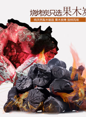 新疆包邮 10KG果木炭 环保碳 无烟型果木木炭 户外烧烤碳机制碳