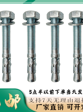 车修壁虎膨胀螺丝m6m8m10m12mm16镀锌加长高强度电梯专用膨胀螺栓