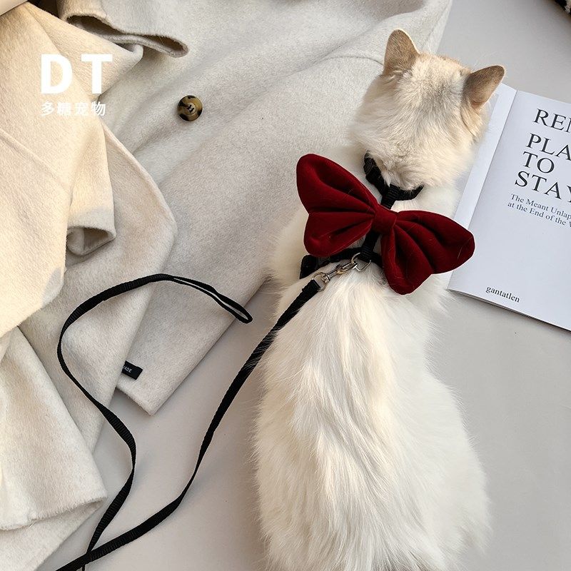 猫咪牵引绳高颜值小奶猫小型幼犬外出防走丢专用防挣脱遛猫溜狗绳,淘宝优惠券,粉丝福利购,淘宝优惠卷