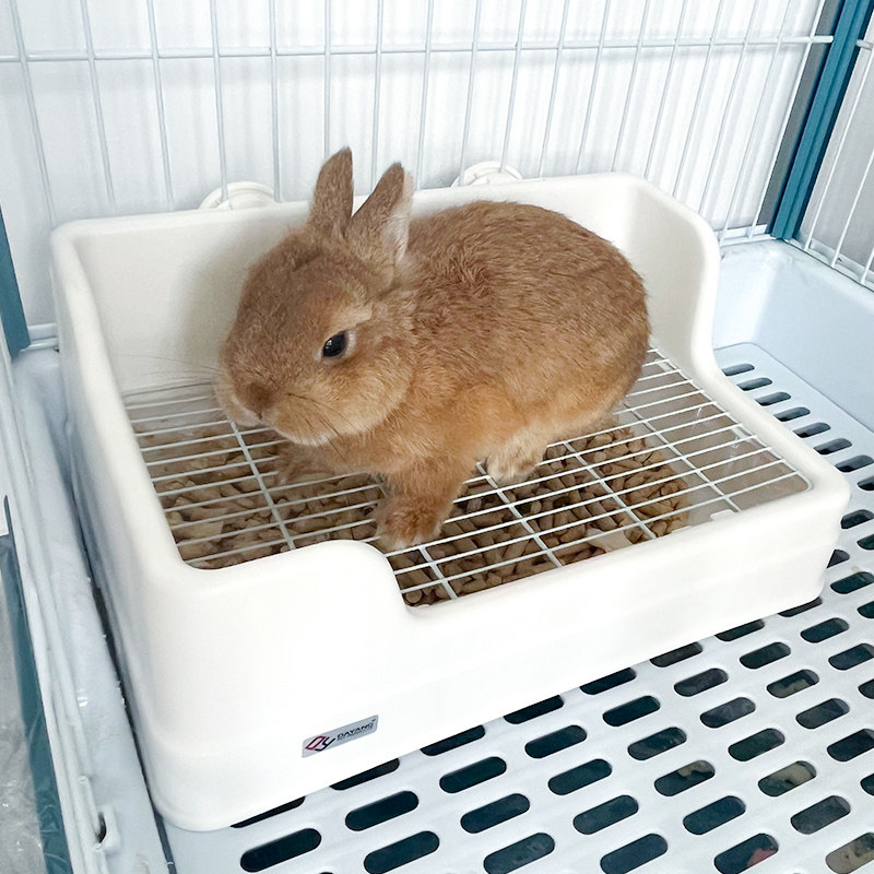 达洋厕所长方形防掀翻兔子厕所双固定款方厕龙猫豚鼠便盆宠物厕所,淘宝优惠券,粉丝福利购,淘宝优惠卷