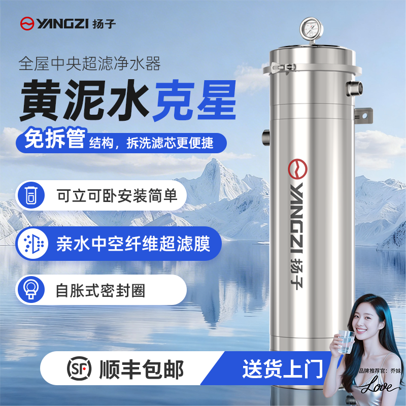 扬子中央净水器免拆管立式家用全屋农村自来水井水过滤净化滤水器