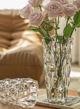 北欧轻奢高级感水晶玻璃花瓶家居客厅透明水养玻璃插花器摆件