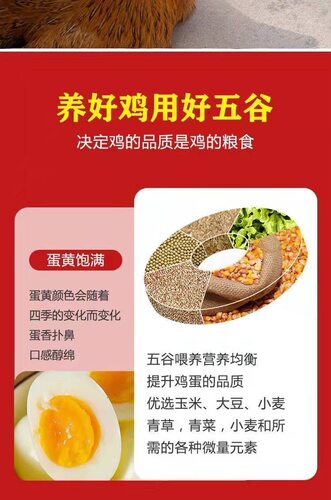 正宗青脚土鸡活苗半大农村散养麻羽土鸡纯种小土鸡高产蛋柴鸡草鸡 - 图2