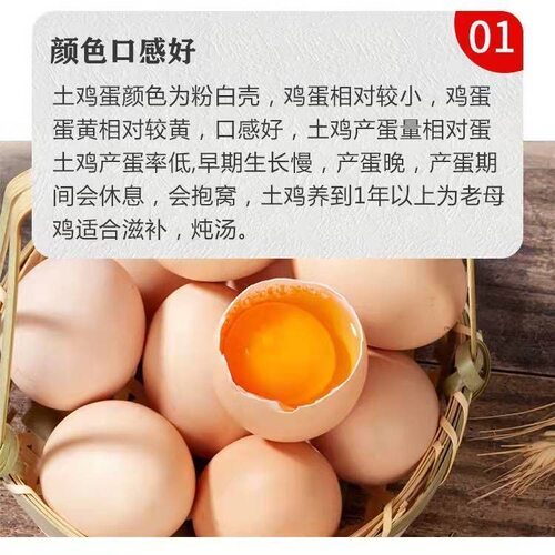 正宗青脚土鸡活苗半大农村散养麻羽土鸡纯种小土鸡高产蛋柴鸡草鸡 - 图0