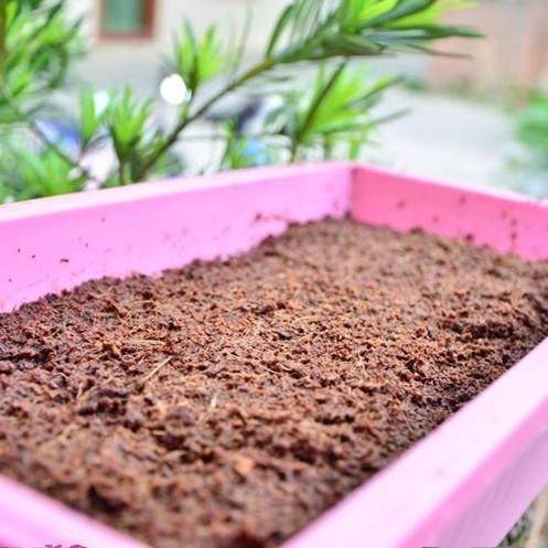 种植椰壳砖阳台种菜土壤大块耶糠砖脱盐椰砖营养土养花通用型泥土,淘宝优惠券,粉丝福利购,淘宝优惠卷