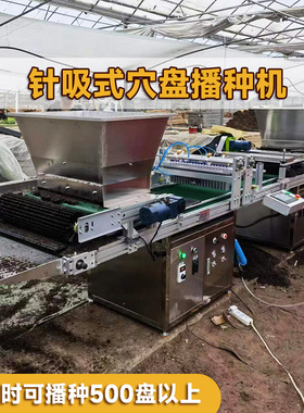 全自动高精准西红柿蔬菜育苗机  自动穴盘播种机厂家
