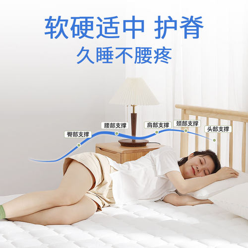 宿舍牀垫学生单人宿舍天然环保硬椰棕大学寝室上下铺专用海绵褥子 - 图2