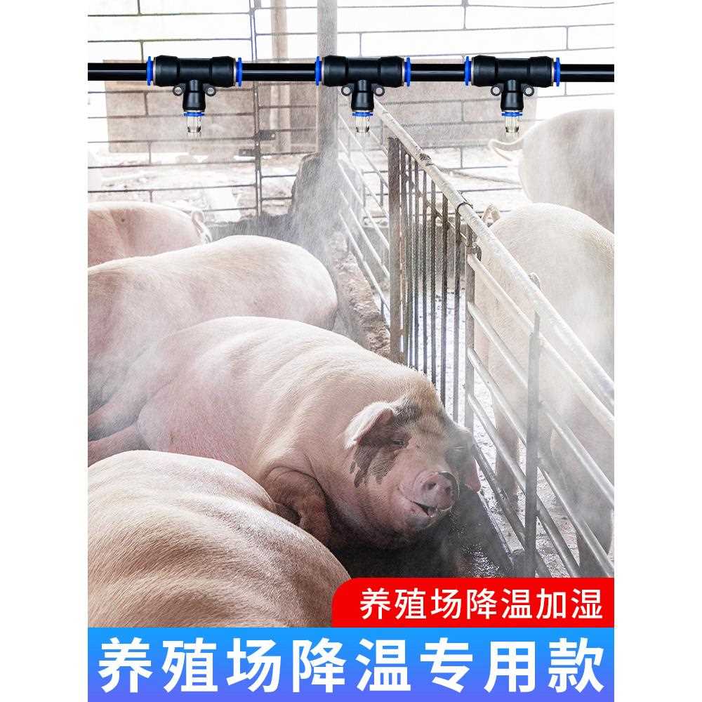 养殖场定时喷雾系统猪场鸡舍养牛降温设备雾化微喷淋消毒加湿喷头 - 图0