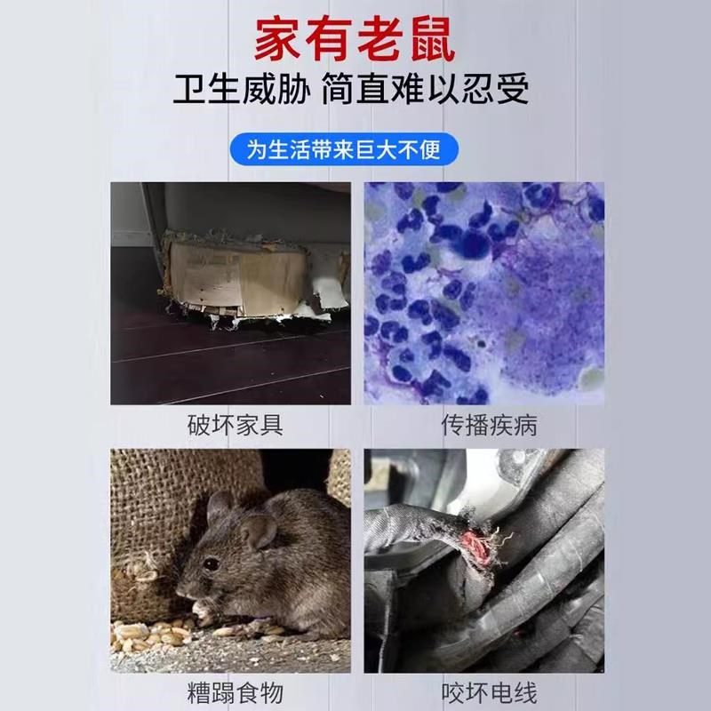 老鼠笼扑捉器笼捕老鼠的神器连续捕鼠笼家用全自动一窝.端只进不 - 图0