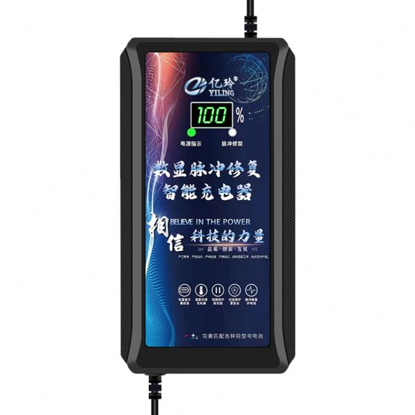 赛克电动车充电器48V两轮电瓶车60V20AH冲电器72断电脉冲修复原装 - 图0