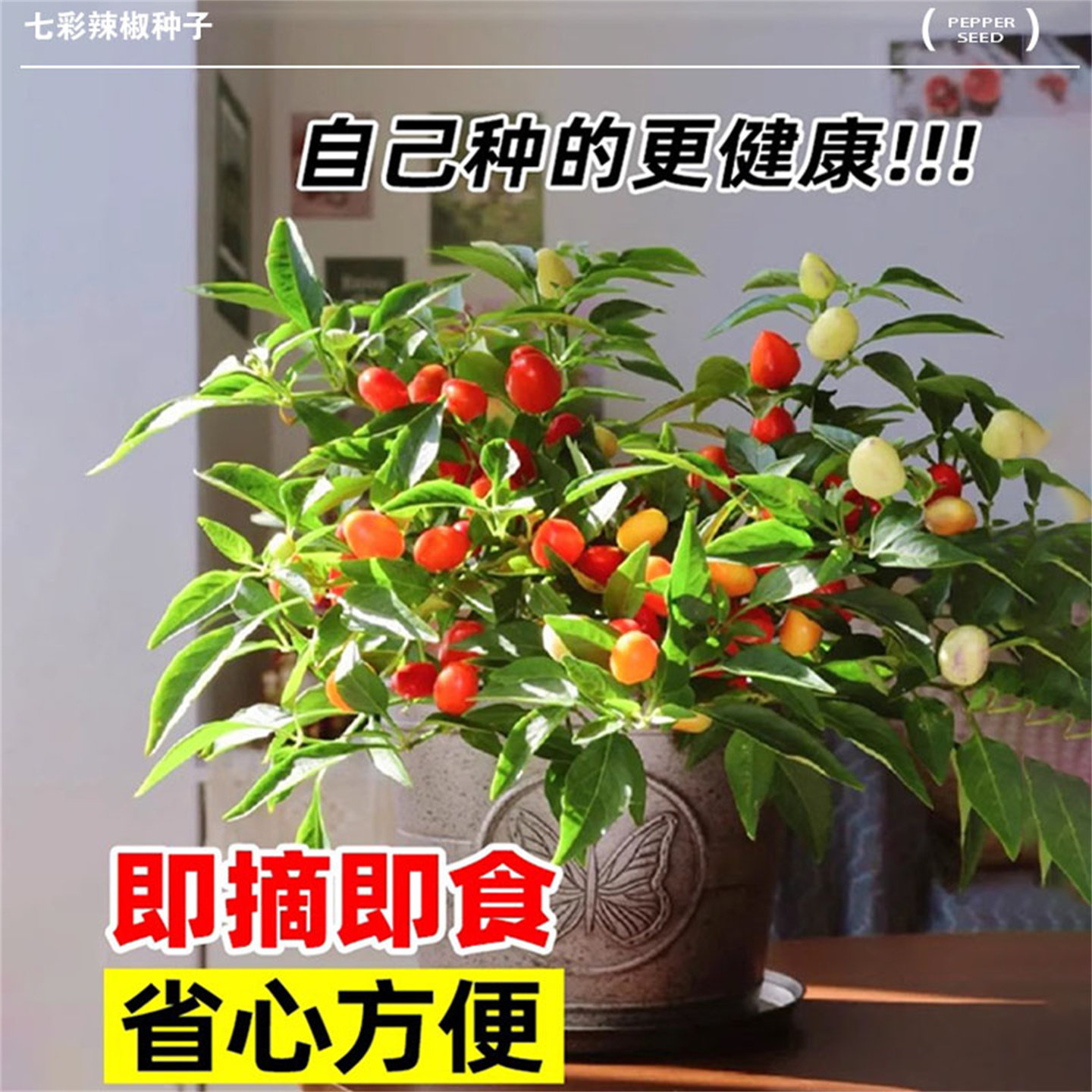 七彩椒种籽五彩辣椒种子灯笼秧苗家庭阳台蔬菜种孑盆栽四季种植苗,淘宝优惠券,粉丝福利购,淘宝优惠卷