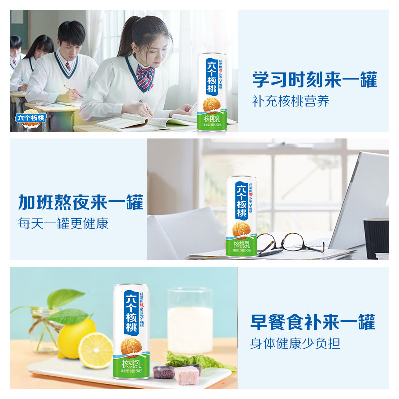 六个核桃精致型植物蛋白核桃乳240ml*24罐整箱低糖植物蛋白补脑,淘宝优惠券,粉丝福利购,淘宝优惠卷