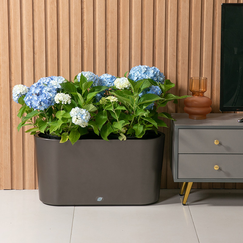 鱼缸柜底柜金属家用客厅鱼缸架带柜子承重置物架水族箱鱼缸底座柜