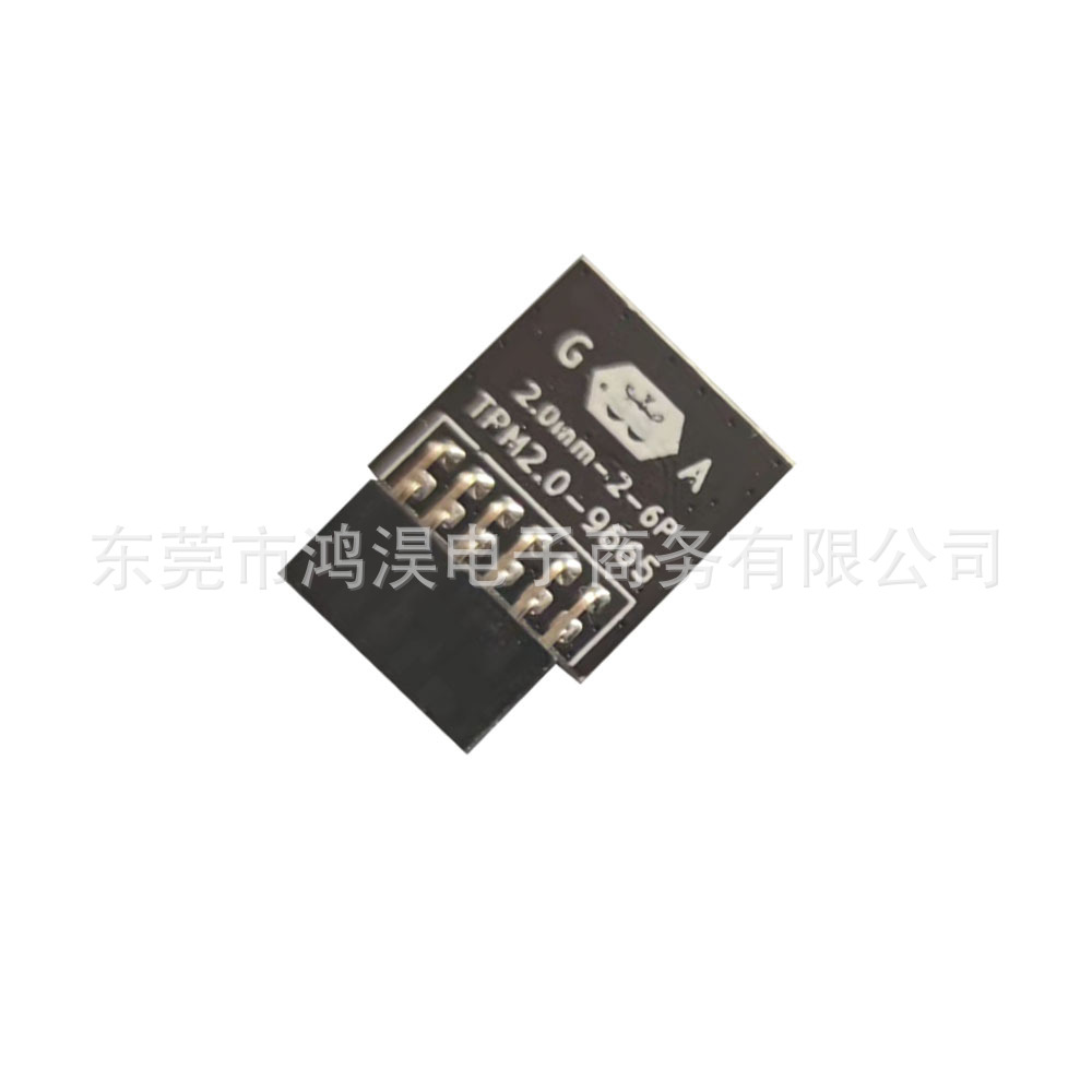 GA技嘉LPC 12PIN tpm 2.0远程卡加密安全模块 - 图2