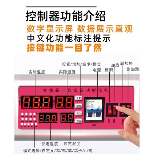 全自动孵化机小型家用孵化器鸡鸭鹅大中小型孵蛋器 - 图2