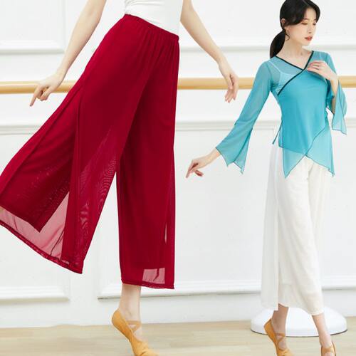 古典舞裤子飘逸网纱裤身韵服基训中国舞练功服女白色阔腿舞蹈裤春 - 图0