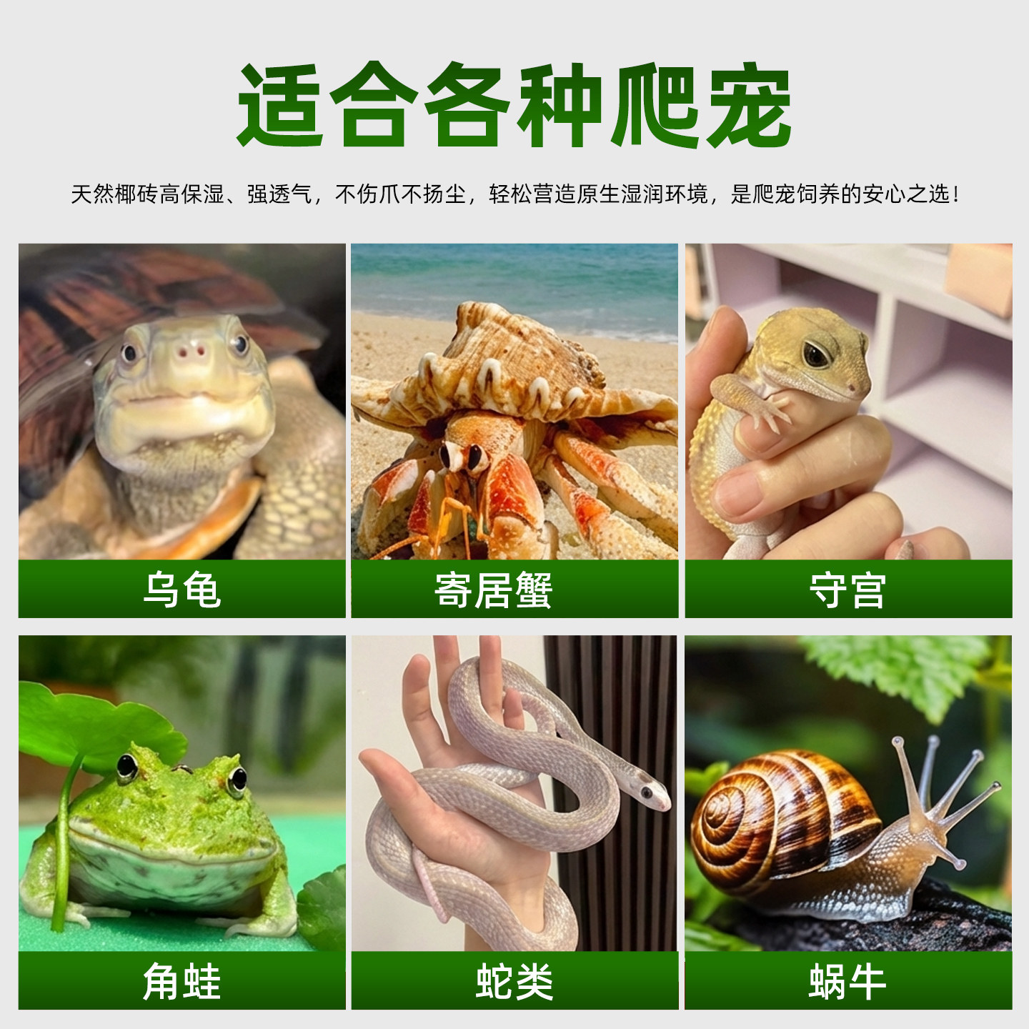 乌龟冬眠专用椰土椰砖保温用品巴西龟寄居蟹爬宠通用过冬套装龟缸,淘宝优惠券,粉丝福利购,淘宝优惠卷