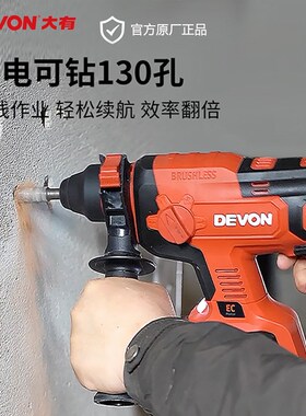 大有5401锂电无刷电锤电镐三用充电式冲击钻多功能大功率电动工具